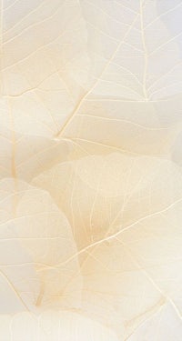 a close up of white leaves on a white background