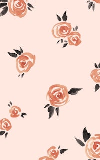 peach roses on a pink background