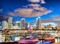 miami skyline at dusk with boats docked in the harbor