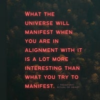 what the universe will manifest when you are alignment with it is a lot more interesting than trying to manifest