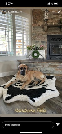a dog is laying on a rug in front of a fireplace