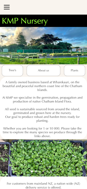 Chatham Island Native Plant Nursery. KMP Nursery