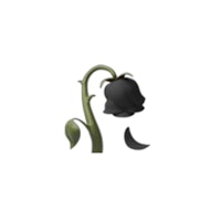 an image of a black flower with a moon on it