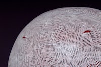 a close up of a red and white polka dot head