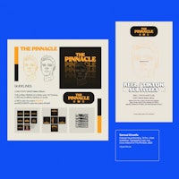 the pinnacle cd cover and sleeve design