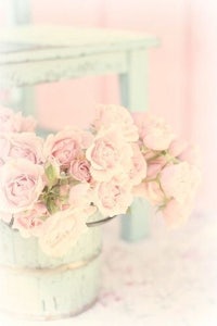 pink roses in a bucket on a table
