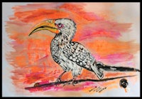 a drawing of a hornbill on a branch