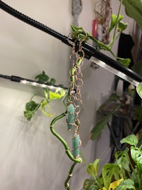 Green aventurine wrapped spiral in copper with copper chain link jump rings, attached to closed earring  hook, hanging from a green swiss cheese plant, surrounded in grow lamps.