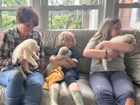 a family sits on a couch holding puppies