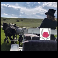 a woman in a top hat is riding in a horse drawn carriage