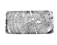 a black and white drawing of a tree stump
