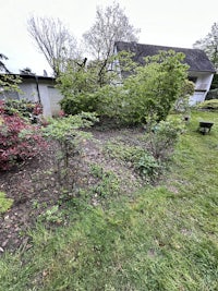 a yard with bushes and trees in it