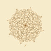 a golden mandala with the letter n