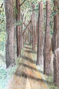 a drawing of a dirt road in the woods