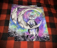 a cat sitting on the moon on a plaid blanket