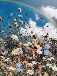 a rainbow over a field of flowers with a rainbow in the sky