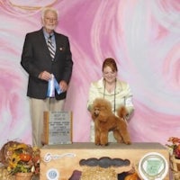 a man and woman standing next to a poodle at a show