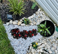 a garden with rocks and plants in it