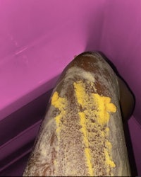 a person sitting in a bathtub with a yellow substance on their leg