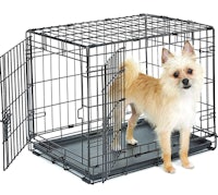 a small dog standing inside a black wire crate