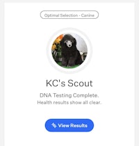 kc's scout dna testing complete