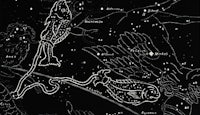 a black and white drawing of a constellation