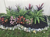 a flower bed with rocks and plants in it