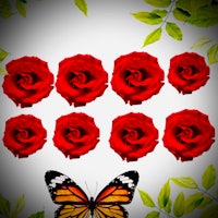 red roses with a butterfly in the background