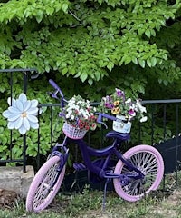 a purple bike is parked next to a fence with flowers