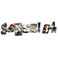 a black background with the word'sns3'written on it