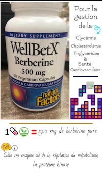 wellbex berberine 500mg
