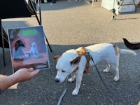 a person holding a picture of a dog