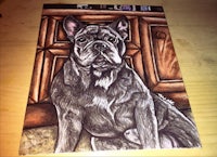 a drawing of a french bulldog sitting on a table