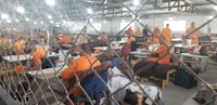 a group of men in orange prison uniforms working in a warehouse
