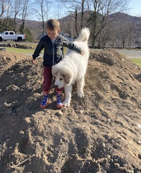 a young boy standing next to a white dog in a pile of dirt