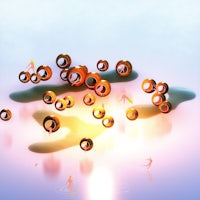 a group of orange circles floating in the water