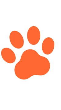 an orange paw print on a white background
