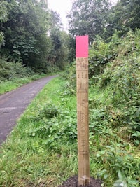 a wooden pole with a red marker on it