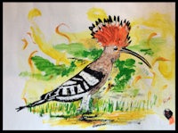 a painting of a hoopoe with a red mohawk