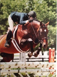 a picture of a horse and rider jumping over an obstacle