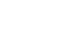 the flying princess logo on a black background