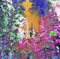 a colorful painting of trees in a forest