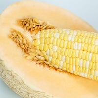 a close up of a melon on a white background