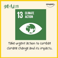 take action to combat climate change and its impacts