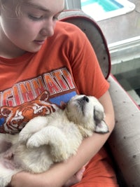 a girl is holding a white puppy in her lap