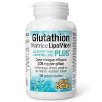 glutathion martini lipomic plus 60 capsules
