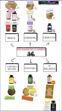 a diagram showing the different types of supplements