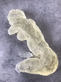 a sculpture of a fetus on a grey surface