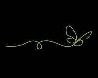 a green line drawing of a butterfly on a black background