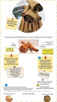 a poster showing the different types of cinnamon